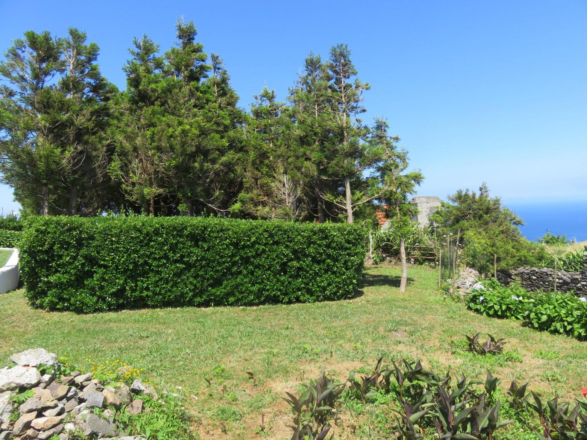 Villa Cedros Santa Cruz das Flores Buitenkant foto